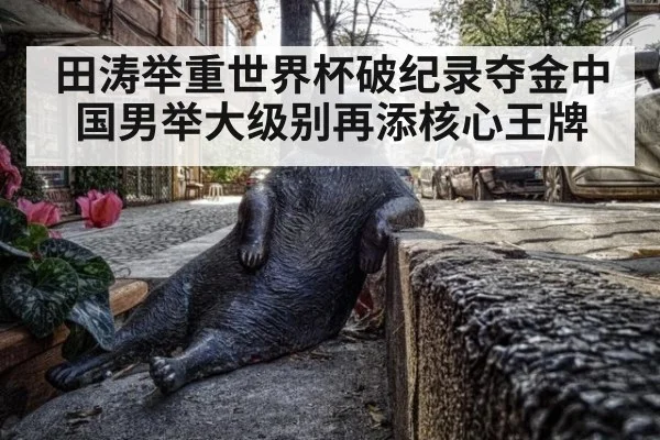 田涛举重世界杯破纪录夺金中国男举大级别再添核心王牌
